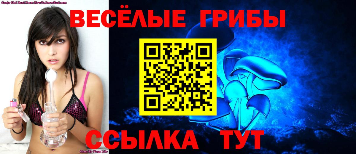 Галлюциногенные грибы Psilocybine cubensis Назарово